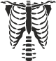 Ренген - скелет